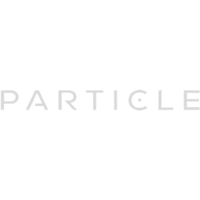 Particle